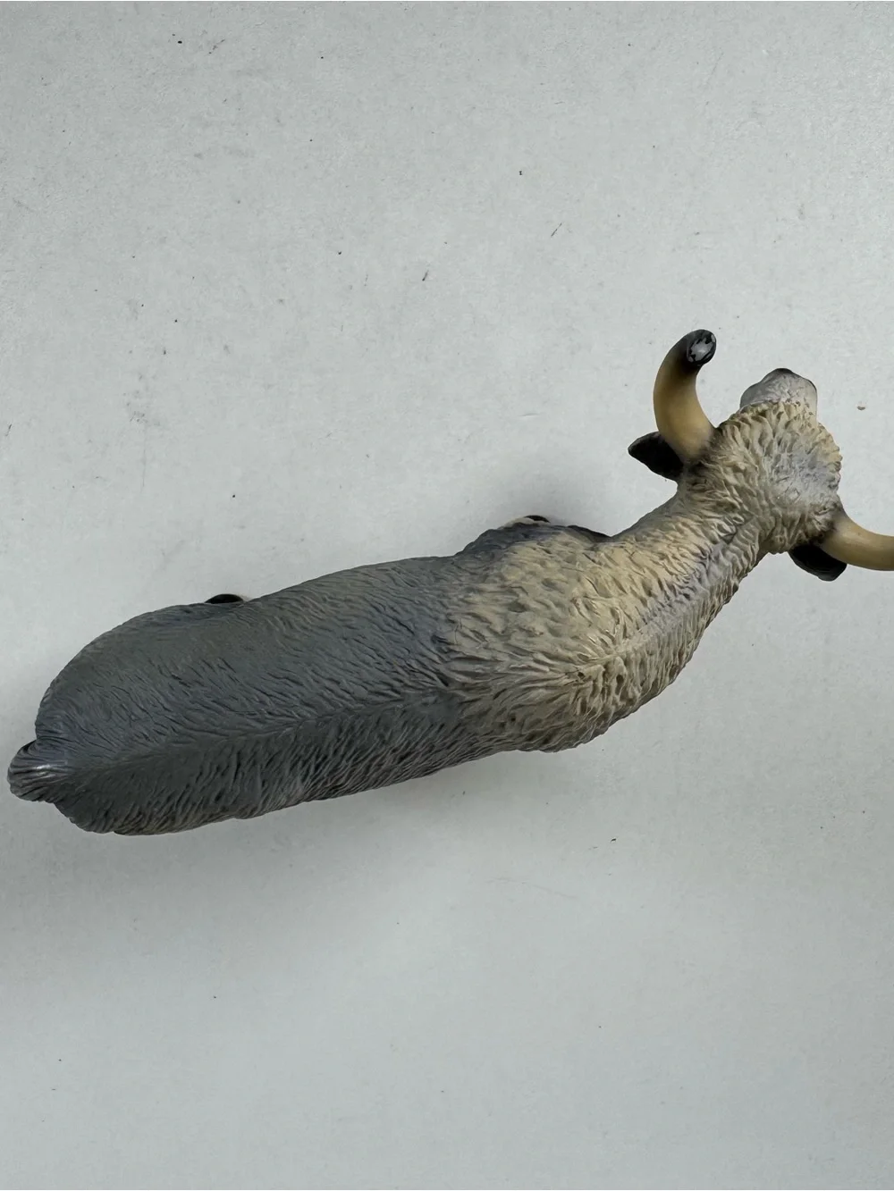 Schleich 2009 Figure Buffalo Yak Cow Grey White 5.5